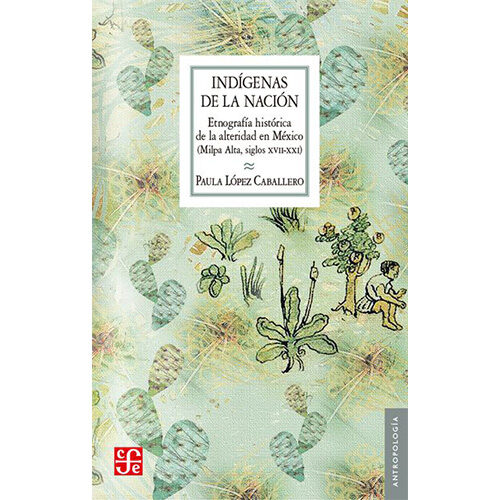 INDIGENAS DE LA NACION. ETNOGRAFIA HISTORICA DE LA ALTERIDAD EN MEXICO 9786071642165