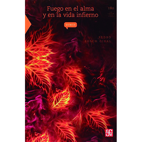 FUEGO EN EL ALMA Y EN LA VIDA INFIERNO 9789681662578