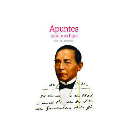 APUNTES PARA MIS HIJOS. NUEVA EDICION PALEOGRAFIADA, ACOMPANADA DE DOS TEXTOS COMPLEME