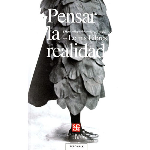 PENSAR LA REALIDAD, DIEZ ANOS DE ENSAYO POLIT 9788437506661