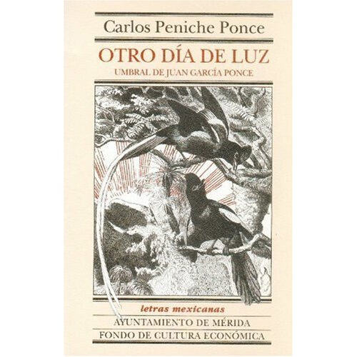 OTRO DIA DE LUZ 013344R
